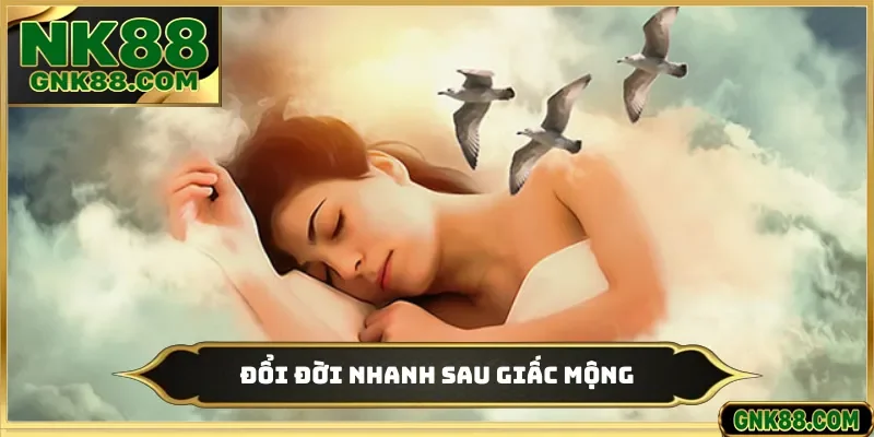Đổi đời nhanh sau giấc mộng