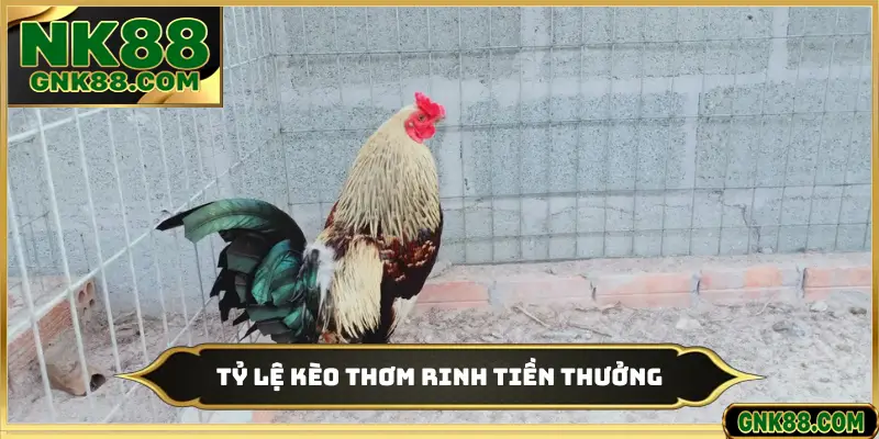 Tỷ lệ kèo thơm rinh tiền thưởng